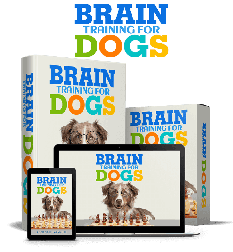 Brain Training for Dogs