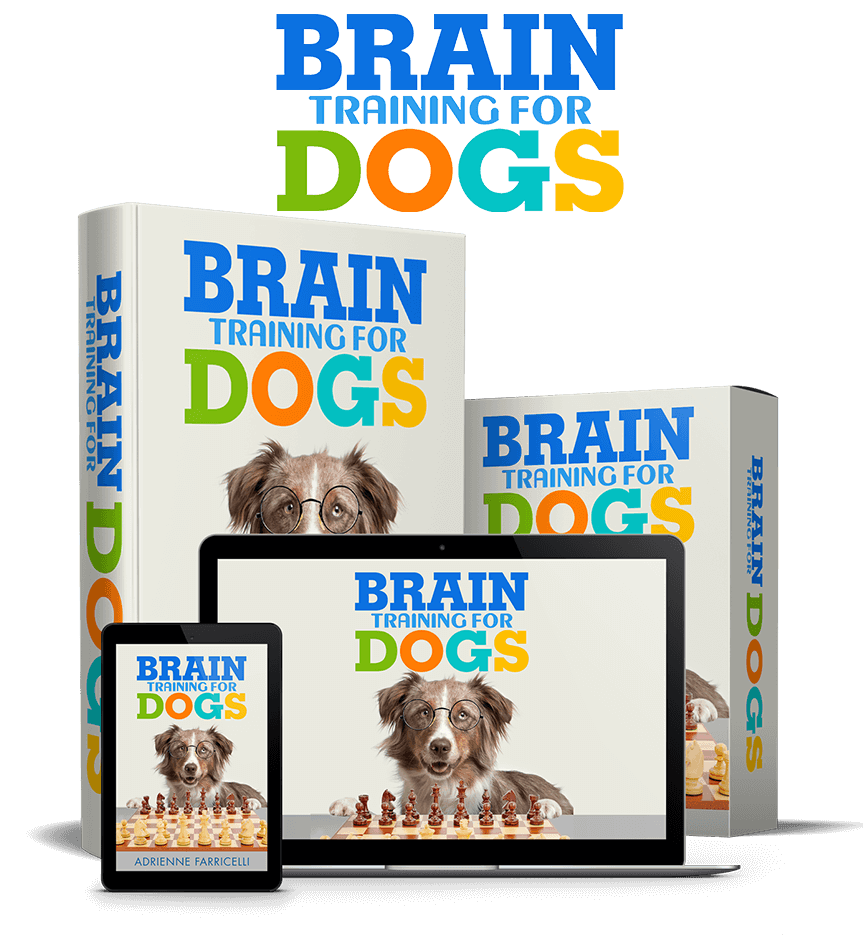 Brain Trainings For Dogs